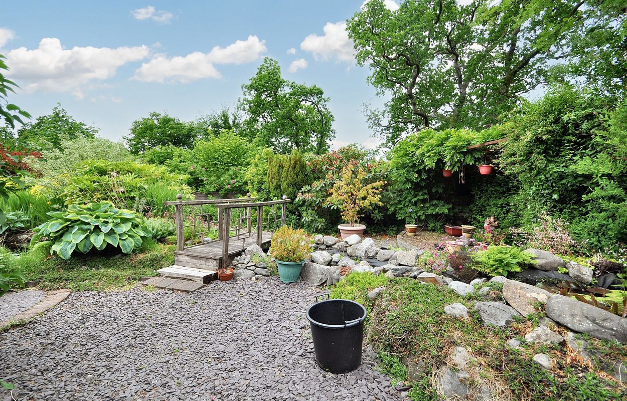 Garden 5